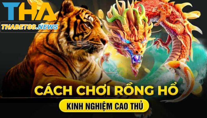 Kinh nghiệm chơi bất bại.