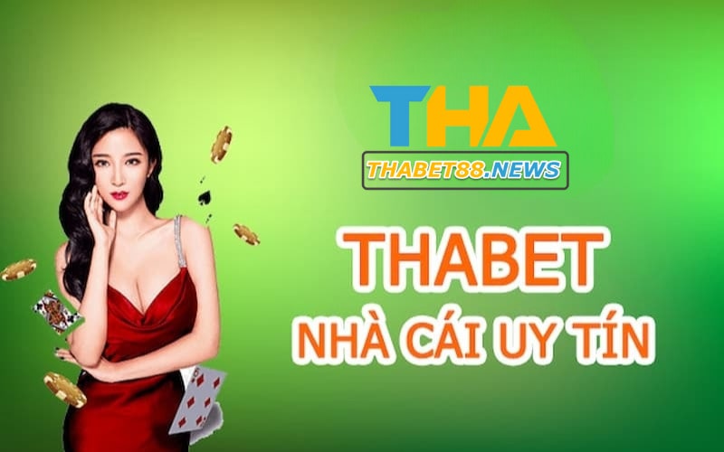 Điều khoản dịch vụ Thabet mà hội viên Thabet cần tuân thủ