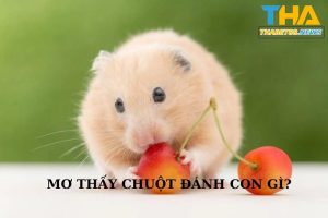 Mơ thấy chuột đánh con gì?